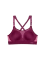 bordowy
